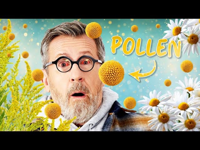 Pollen : pourquoi est-on aussi allergique ?